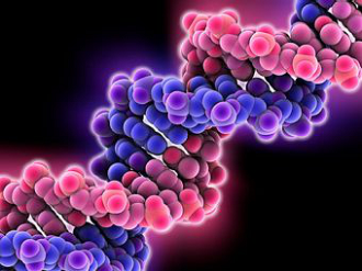Рак кишечника может возникать из-за «мусорных» частей ДНК